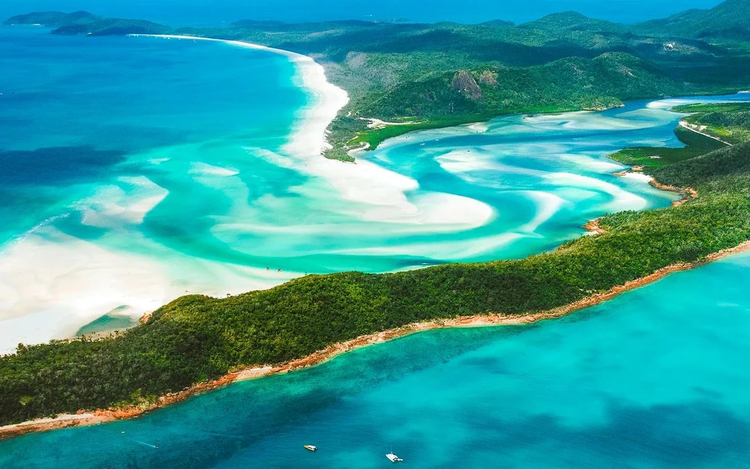 Airlie Beach: Outer Great Barrier Reef & Whitehaven Beach Snorkel Tour Image 6
