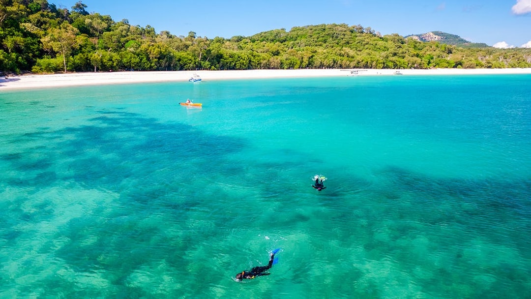 Snorkelers in clear waters of Mantaray Bay, Whitsundays, with lush green island backdrop.