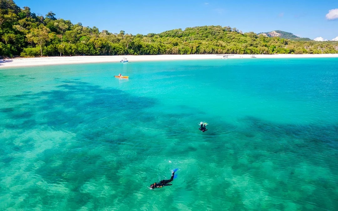 Airlie Beach: Outer Great Barrier Reef & Whitehaven Beach Snorkel Tour Image 8