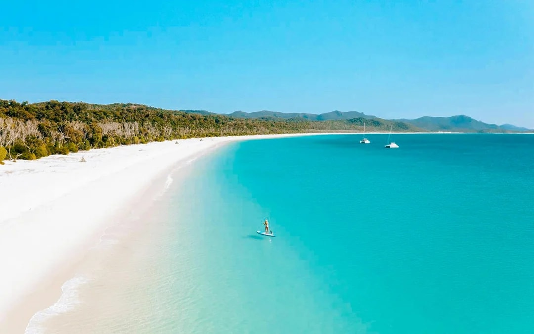 Airlie Beach: Outer Great Barrier Reef & Whitehaven Beach Snorkel Tour Image 9