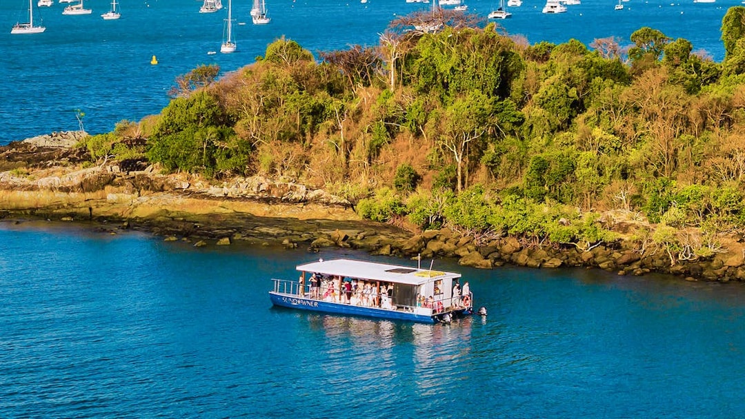 Aerial view of a sundowner cruise near lush island, Airlie Beach, with sailboats in the background.