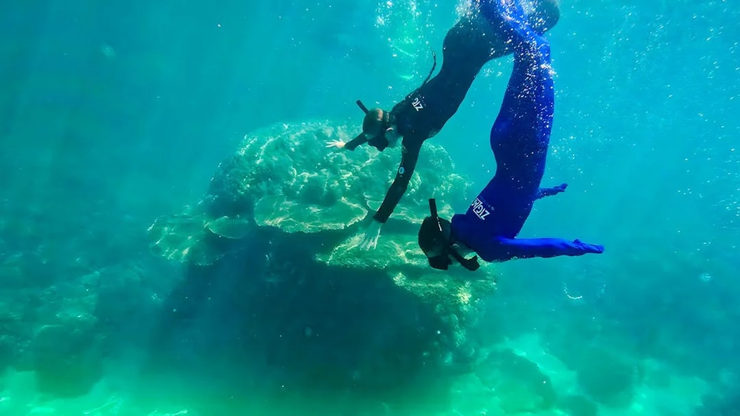 Snorkelers exploring coral reef on ZigZag Whitsundays Day Tour.