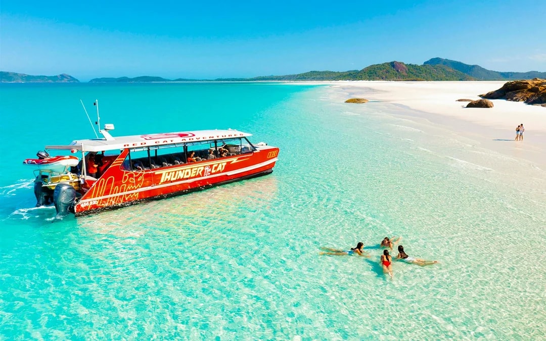 Airlie Beach: Whitehaven Beach Snorkel Cruise with Hill Inlet Tour and Buffet Lunch Image 6