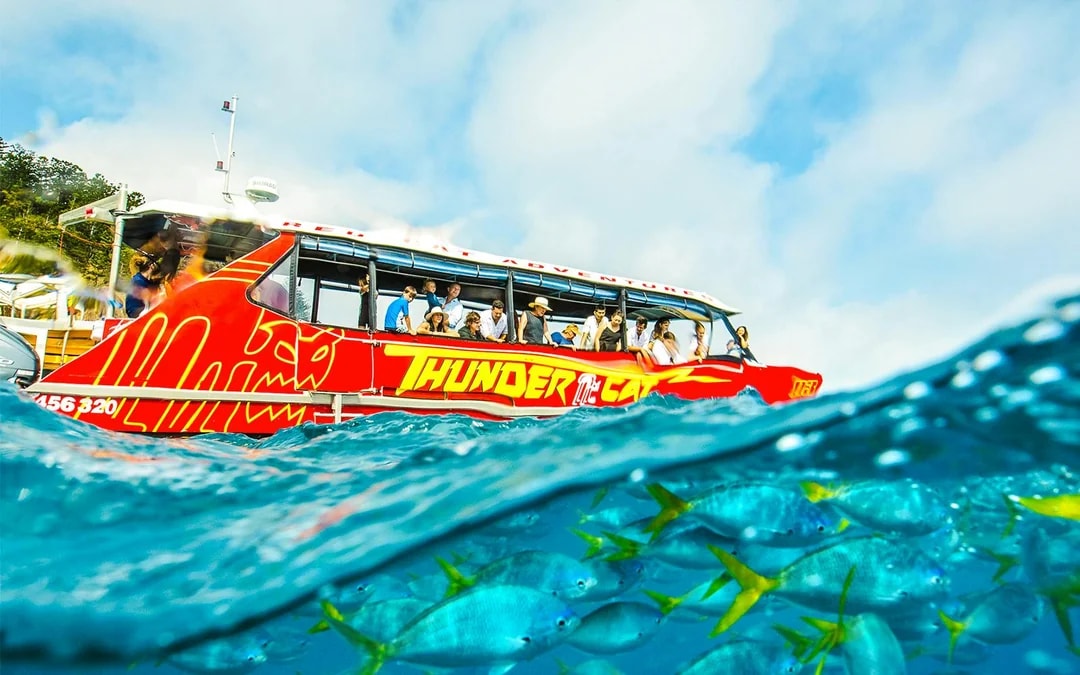 Airlie Beach: Whitehaven Beach Snorkel Cruise with Hill Inlet Tour and Buffet Lunch Image 7