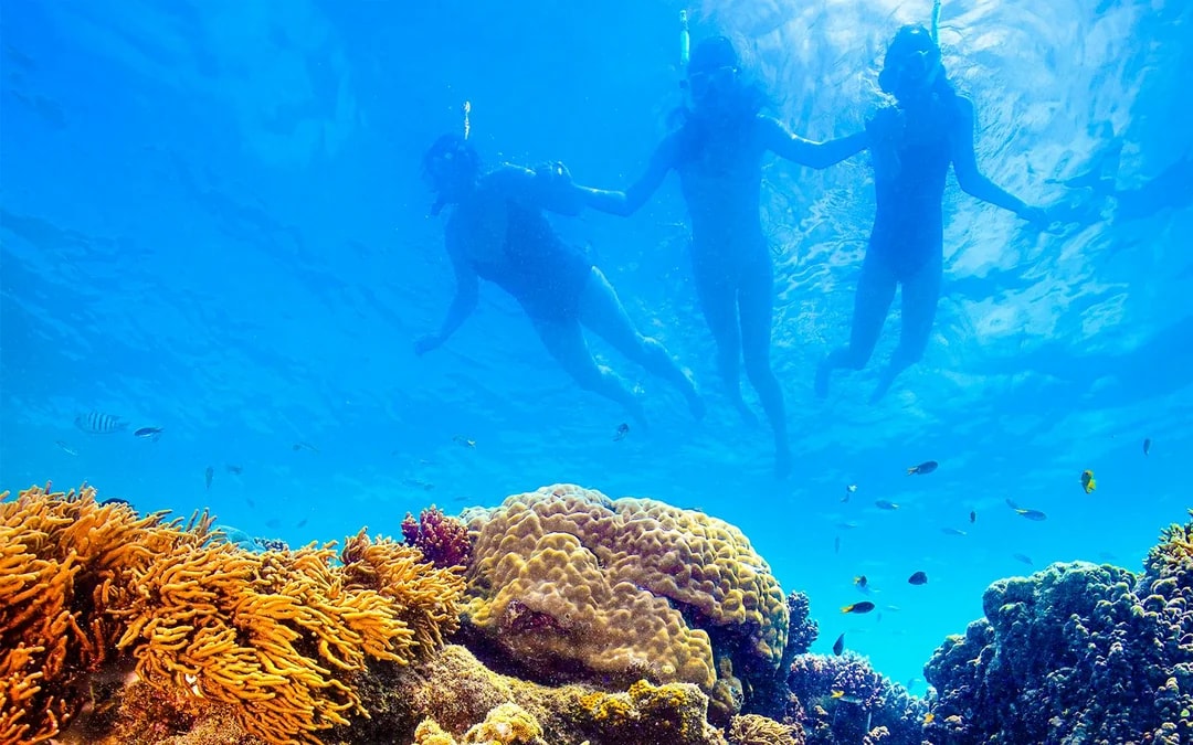 Airlie Beach: Whitehaven Beach Snorkel Cruise with Hill Inlet Tour and Buffet Lunch Image 8