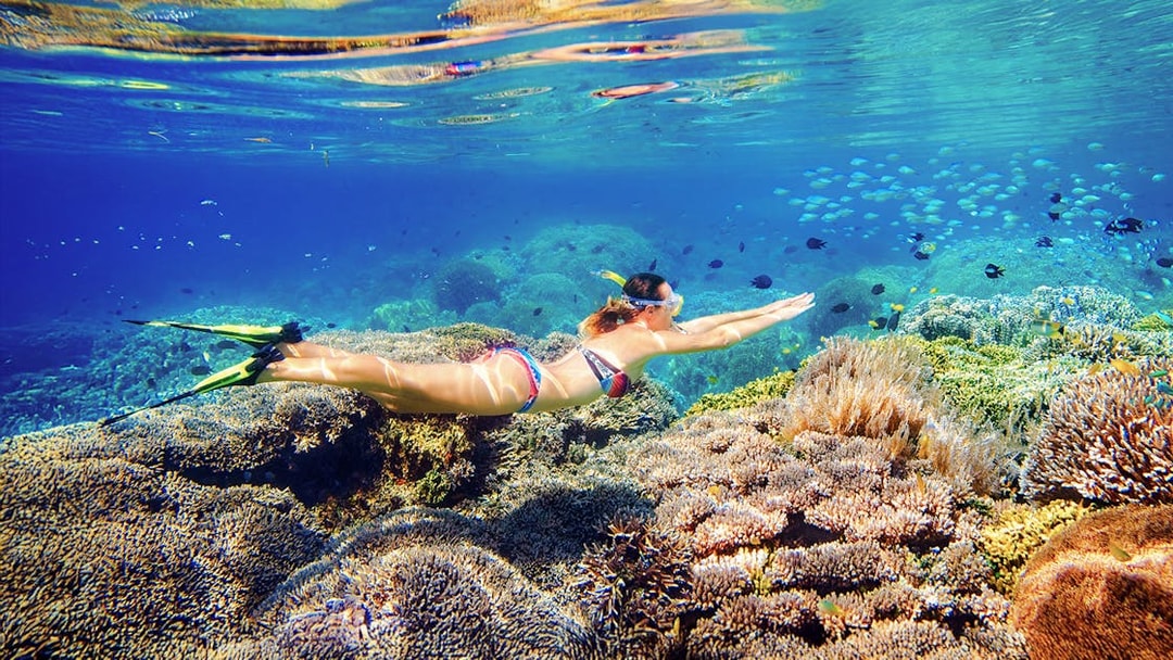 Snorkeler exploring coral reef on Fitzroy Island day trip from Cairns.