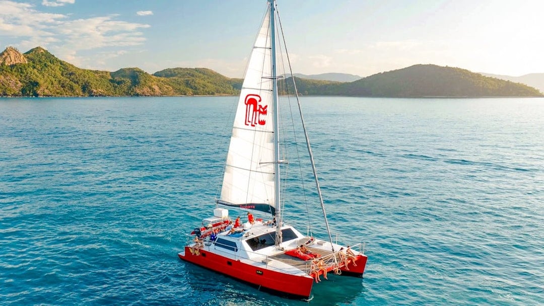 From Airlie Beach: Whitsundays Sail and Snorkel Tour with Lunch