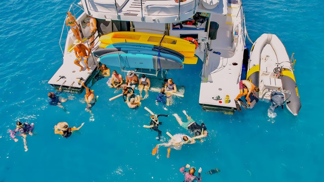 Tourists swimming near a chartered catamaran in the Whitsundays.
