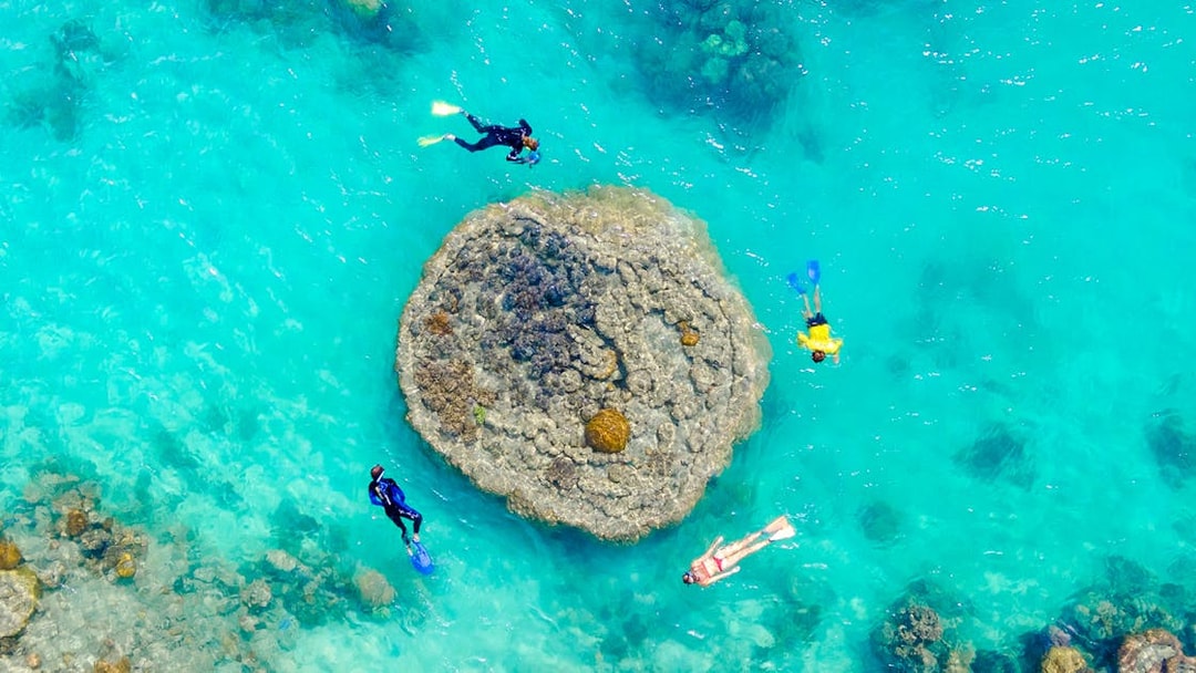 Snorkelers exploring coral reef in clear waters of Whitsundays, Australia.