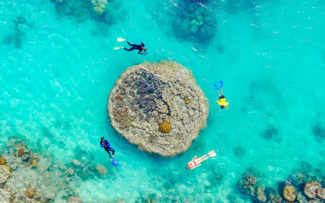 Airlie Beach: Whitsundays Snorkel and Hill Inlet Tour with Hotel Transfers Image 3