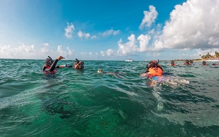 Akumal Snorkeling With Turtles Image 6