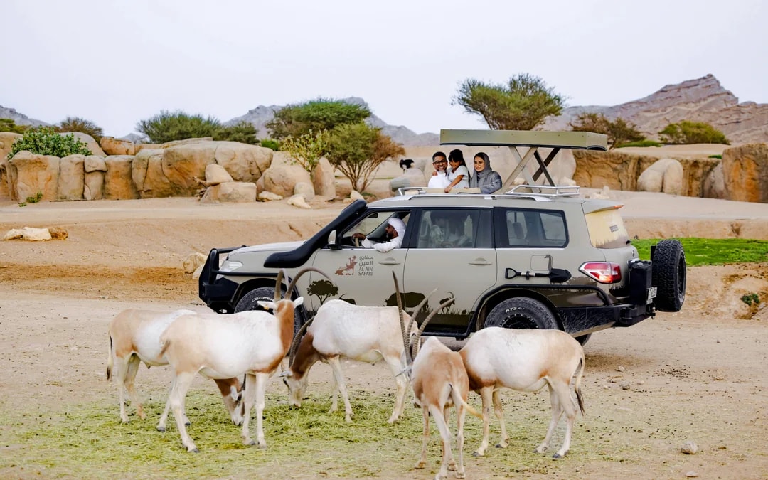 Al Ain Zoo Tickets Image 6