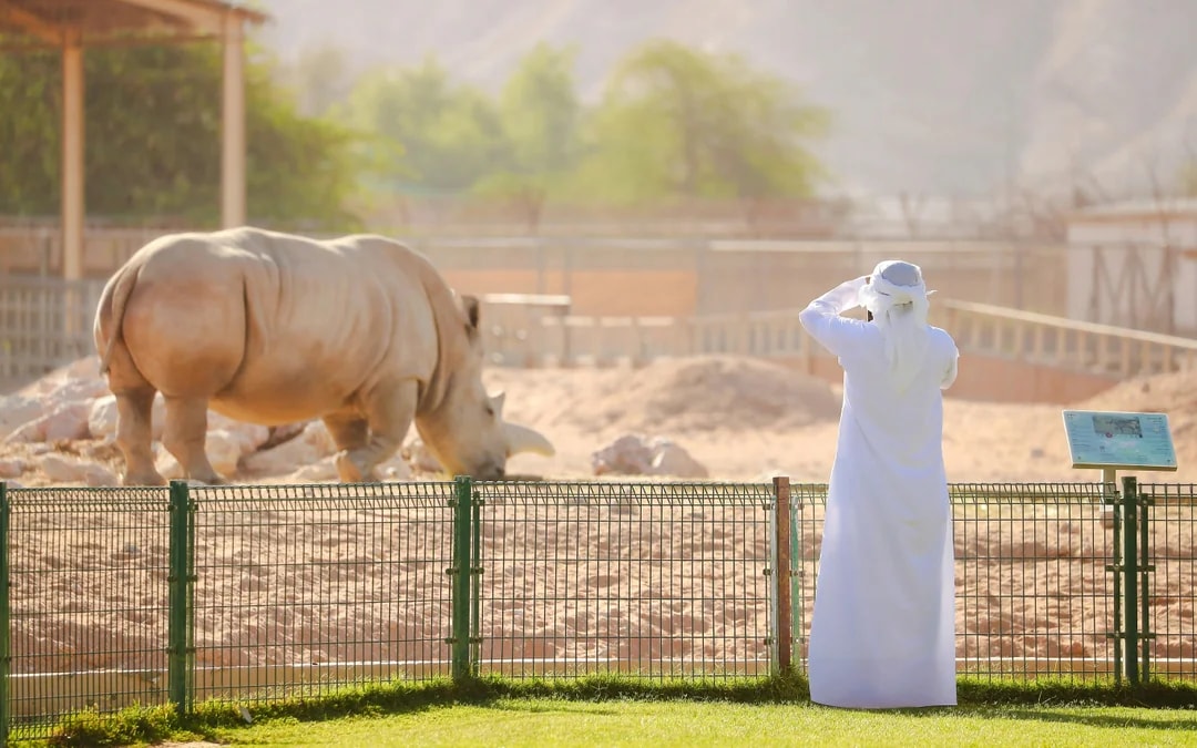 Al Ain Zoo Tickets Image 8