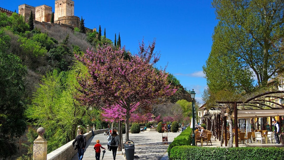 Alhambra view from Albaicin with people walking along a tree-lined path.