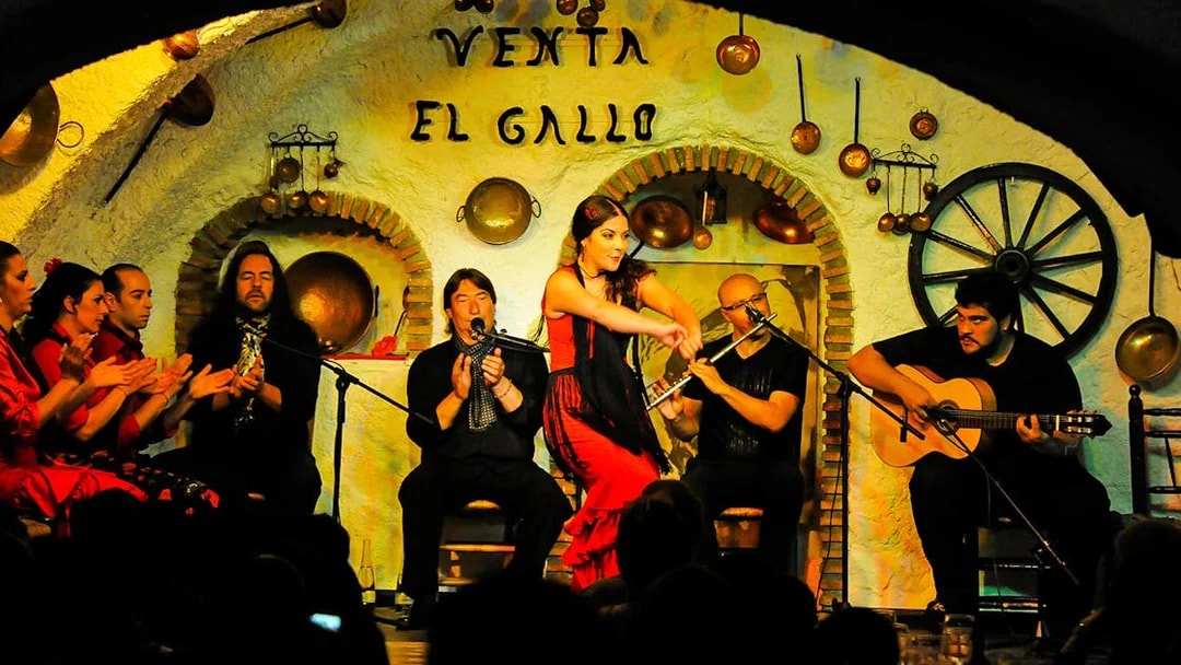 Flamenco performance at Venta El Gallo in Albaicin, Granada during Sacromonte tour.