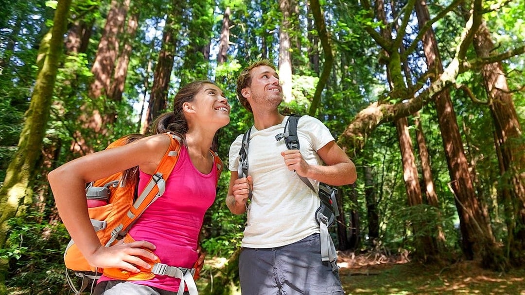 Couple hiking in Muir Woods, part of Alcatraz Tour with Sausalito.