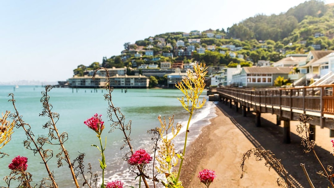 Sausalito waterfront view with flowers and hillside homes, part of Alcatraz and Muir Woods tour.