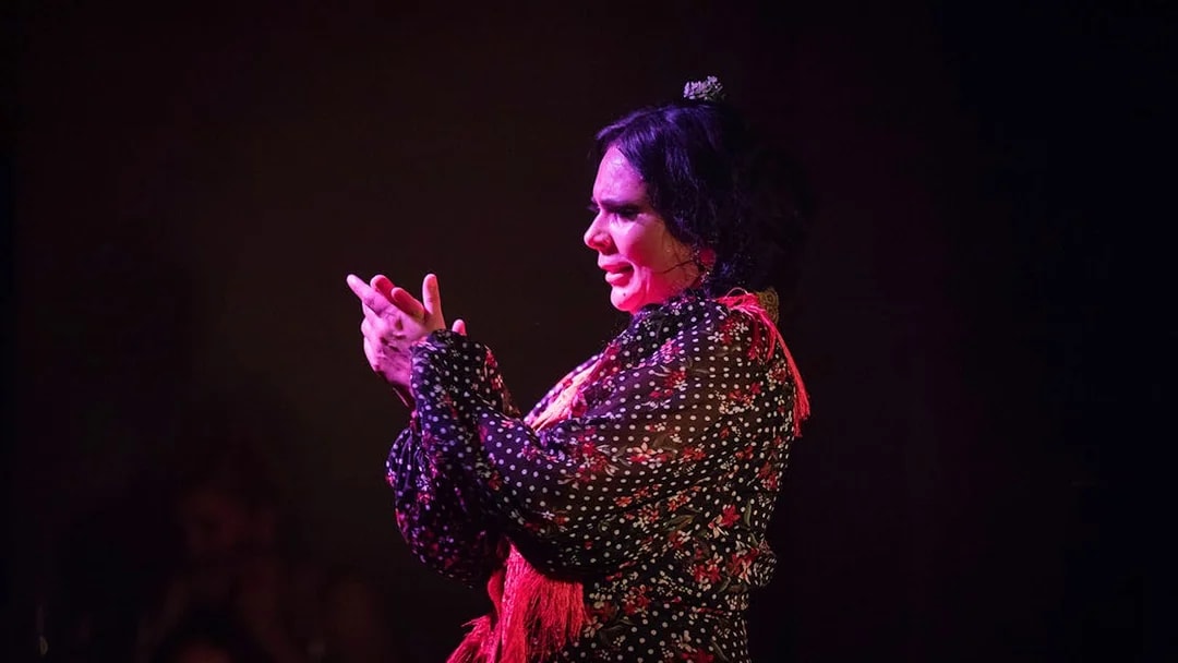 Flamenco dancer clapping during Alegría performance.