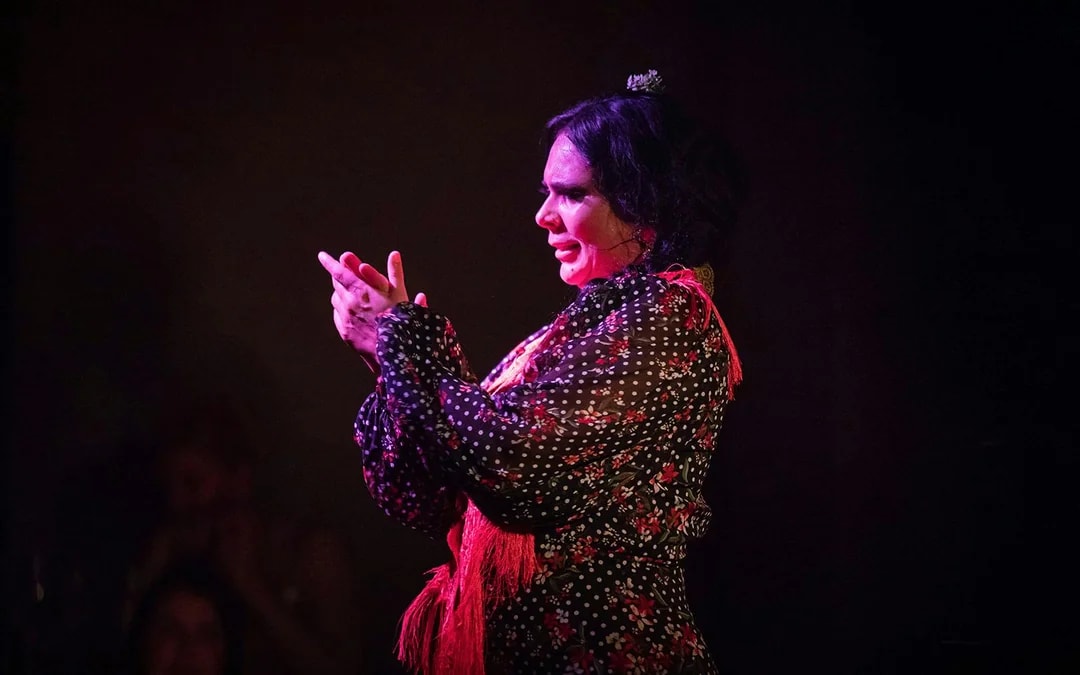 Alegría - Flamenco Show Image 7