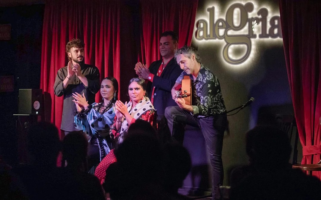 Alegría - Flamenco Show Image 8