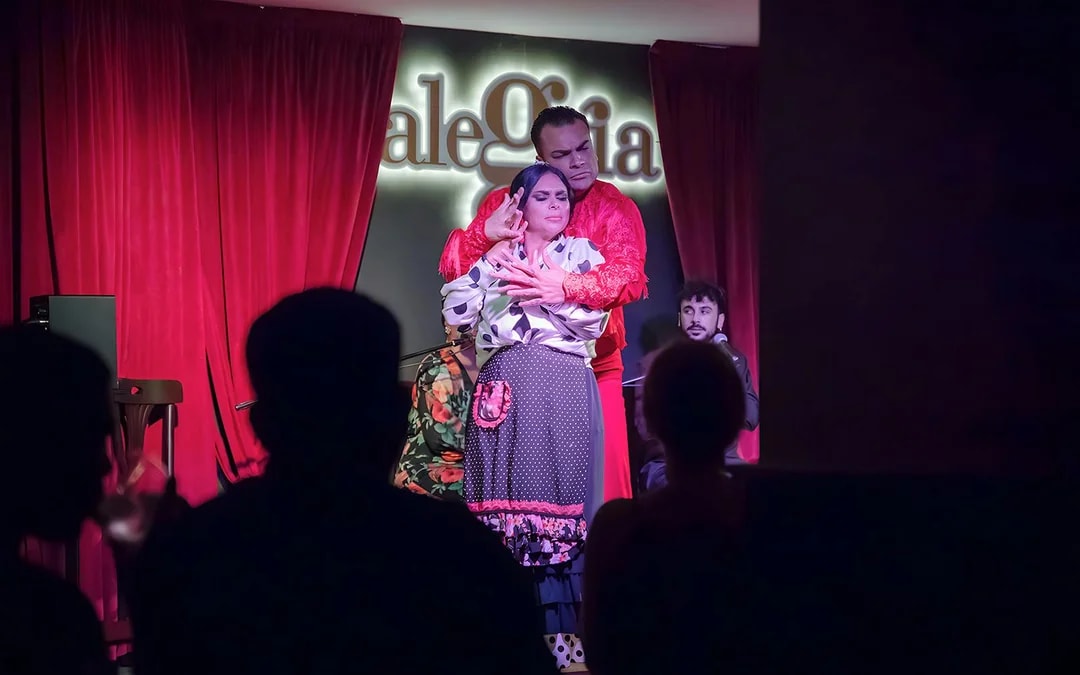 Alegría - Flamenco Show Image 1