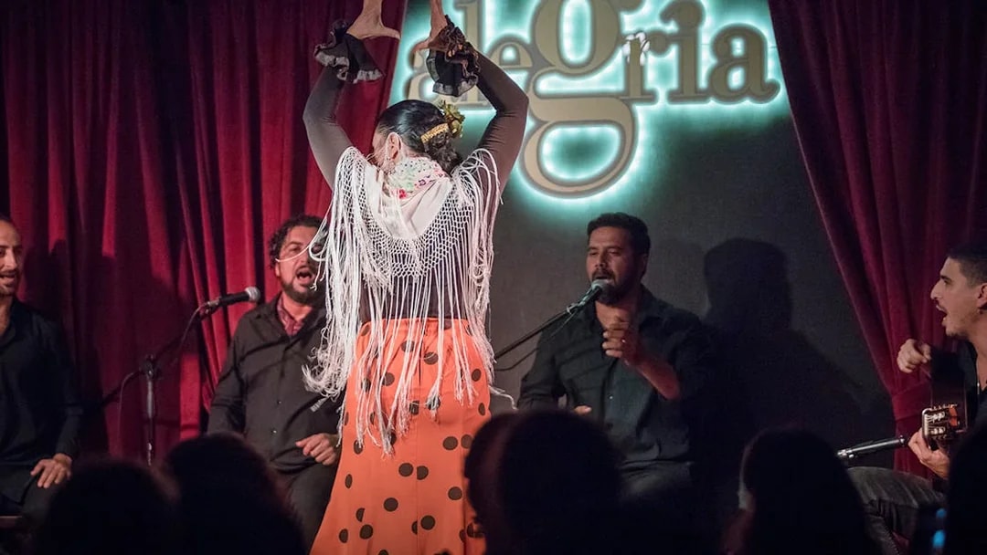 Flamenco dancer performing with musicians at Alegría venue.