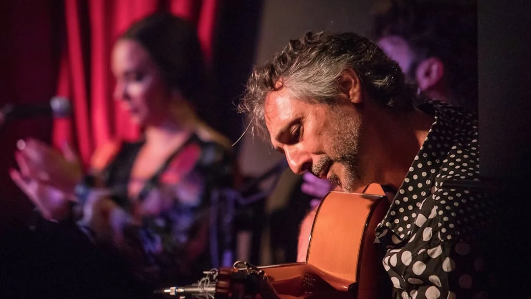 Guitarist performing at Alegría Flamenco & Gastronomia event.