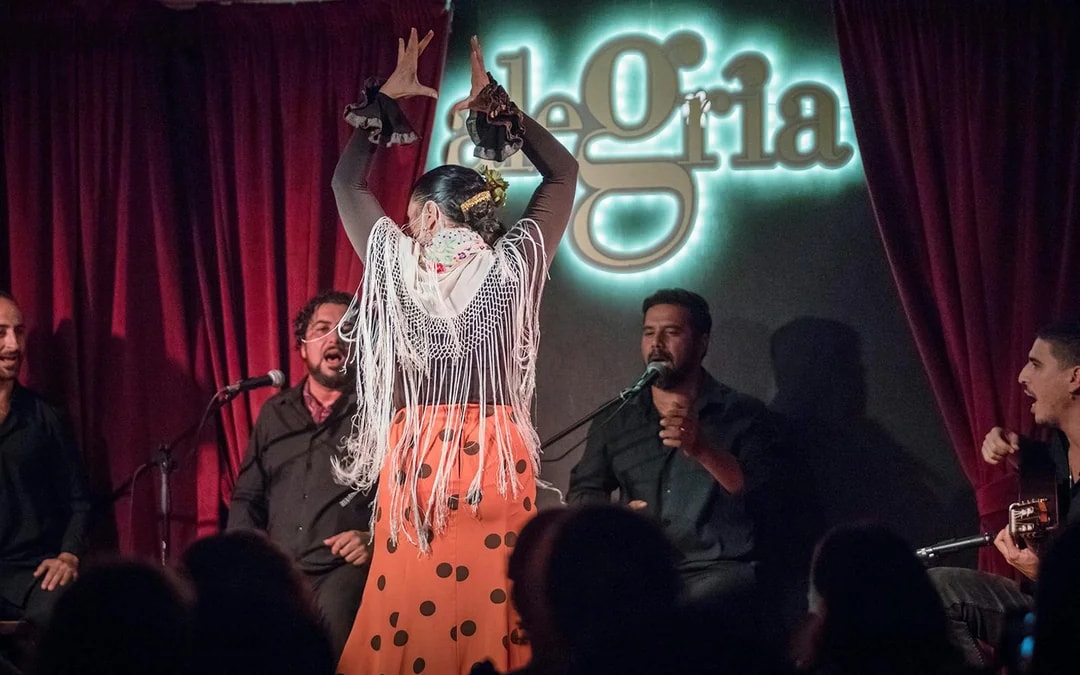 Alegría - Flamenco Show Image 4