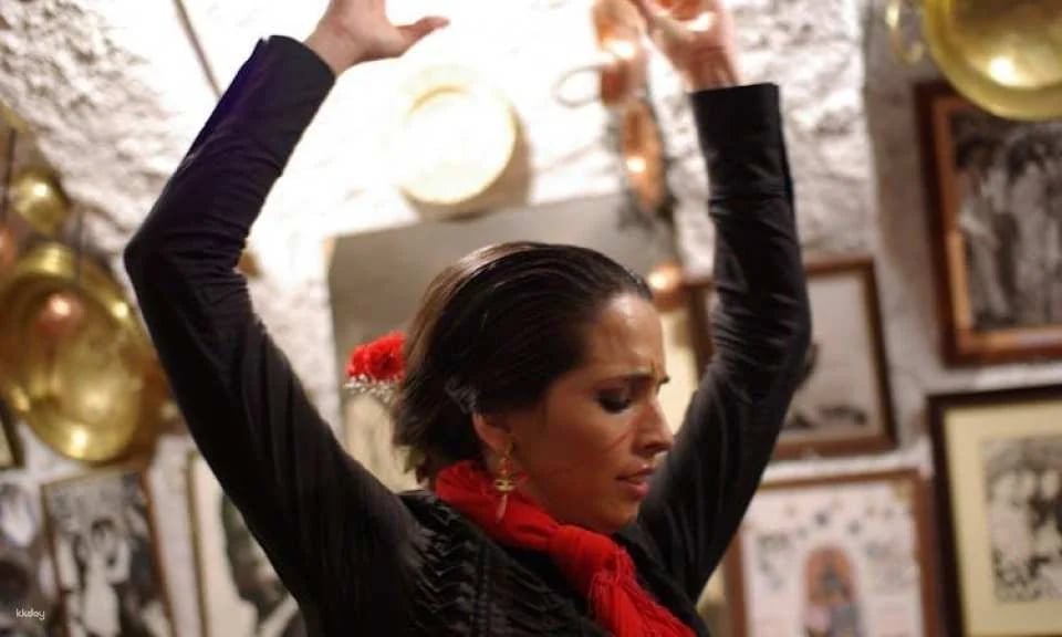 Alhambra guided tour with flamenco show and dinner