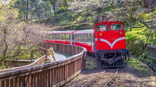 Alishan National Scenic Area