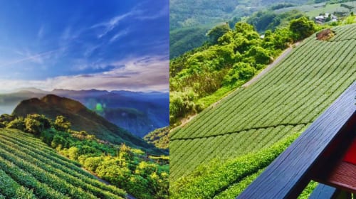 Alishan National Scenic Area