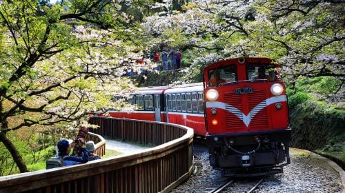 Alishan National Scenic Area