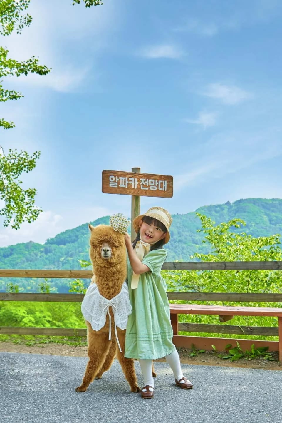 AlpacaWorld Ticket in Hongcheon