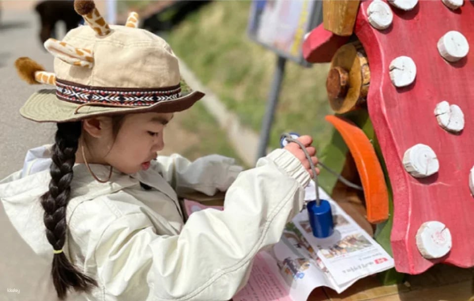AlpacaWorld Ticket in Hongcheon