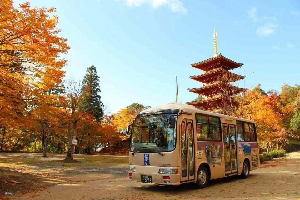 Amanohashidate Sandbar-Ine Bay-Tango Province Sightseeing Ticket | Kyoto