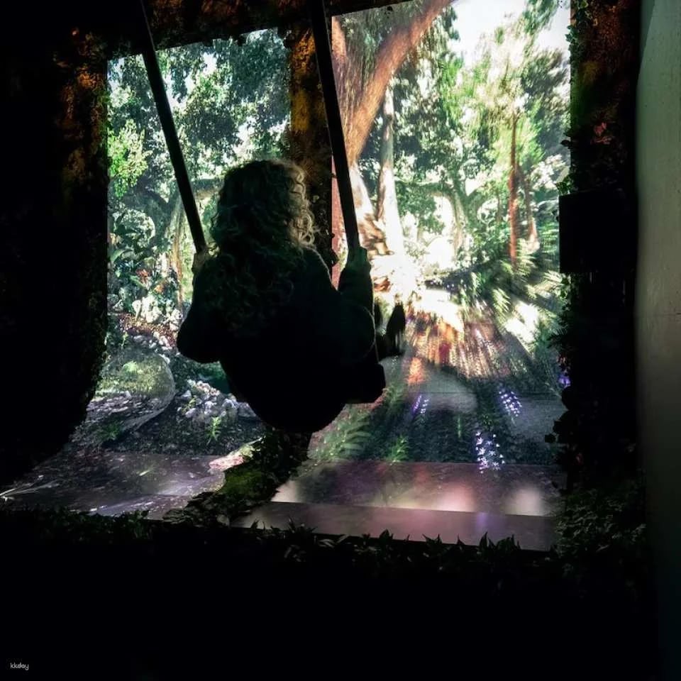 AMAZE Amsterdam: The Immersive Experience | Netherlands