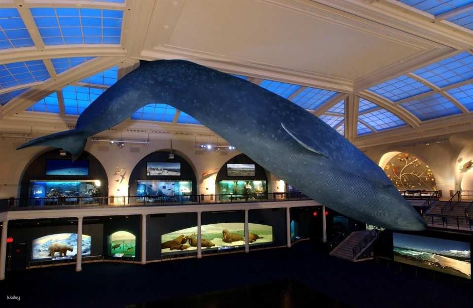 COMBO: American Museum of Natural History + The Museum of Modern Art (MoMA) Tickets (604750)
