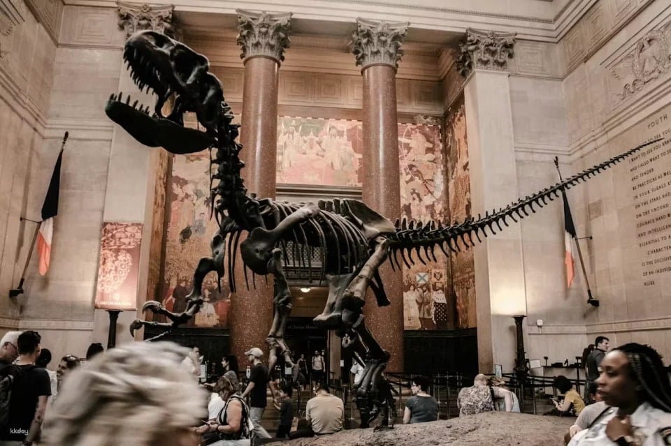 American Museum of Natural History Ticket - New York
