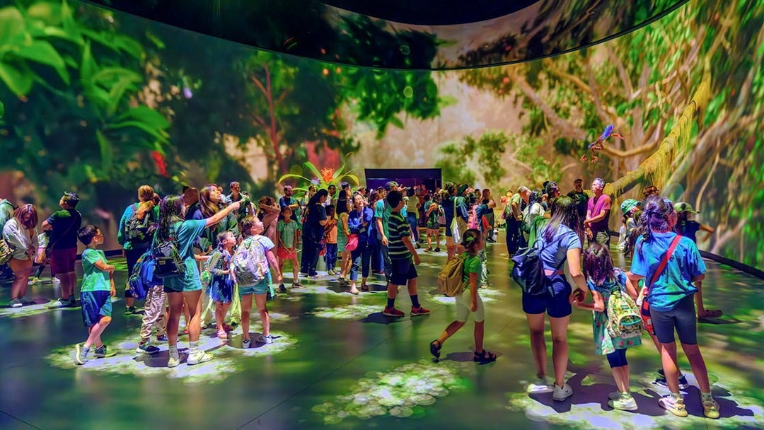 Visitors exploring immersive exhibit at American Museum of Natural History.