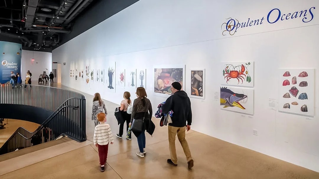 Visitors viewing marine life art at the Opulent Oceans exhibit.