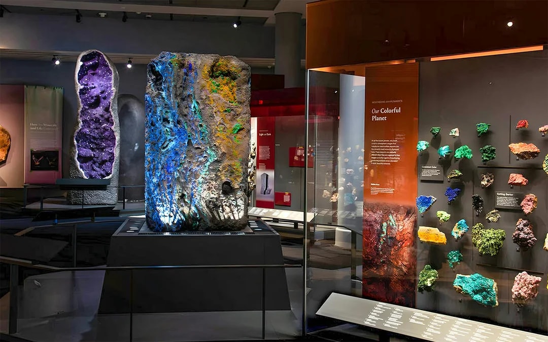 American Museum of Natural History Tickets Image 4