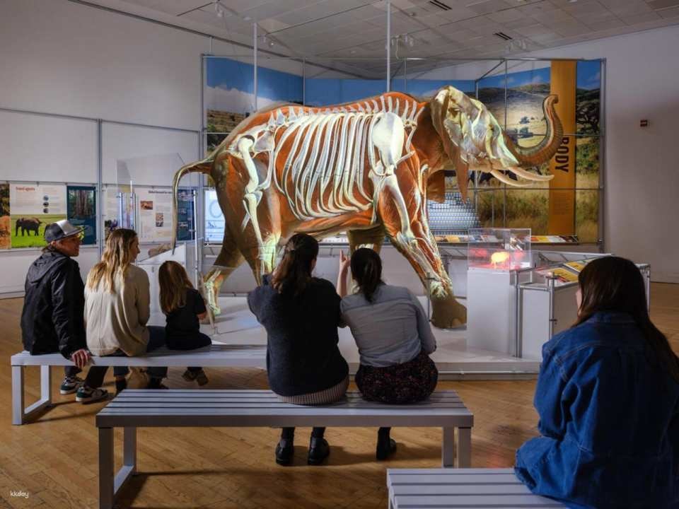 American Museum of Natural History Ticket