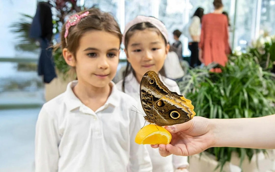 American Museum of Natural History Tickets + All Ticketed Exhibitions Image 8