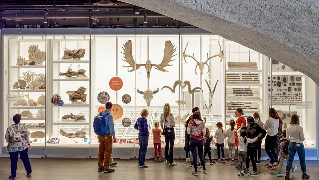 American Museum of Natural History plus 1-3 Top NYC Attraction Tickets