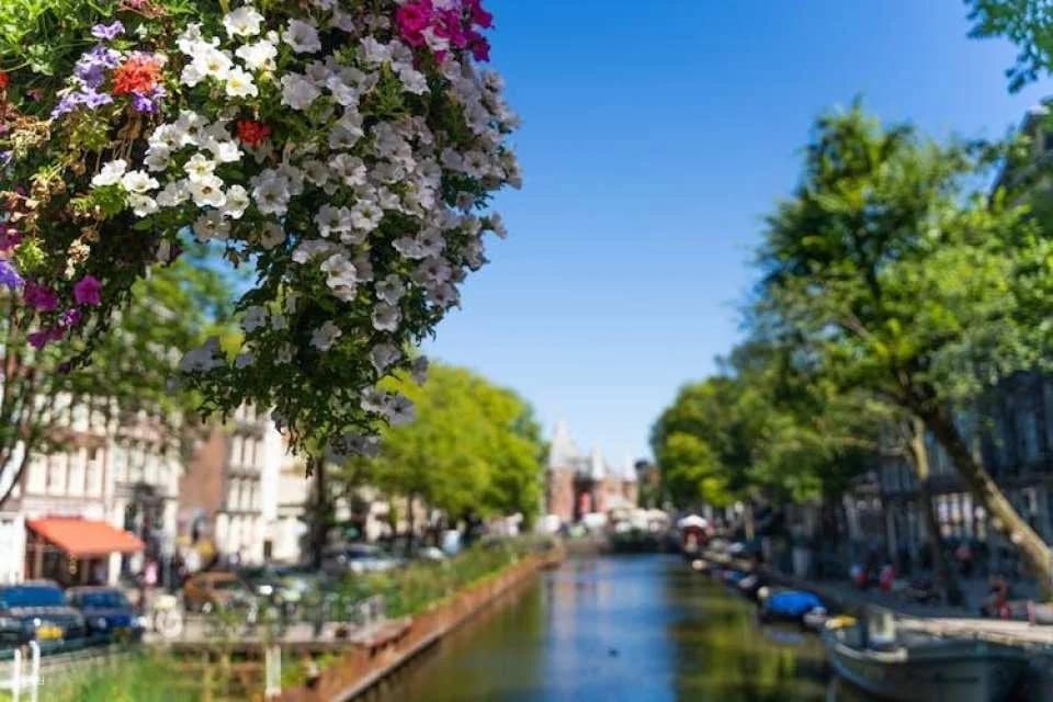 Amsterdam countryside bike tour with 1-hour canal cruise