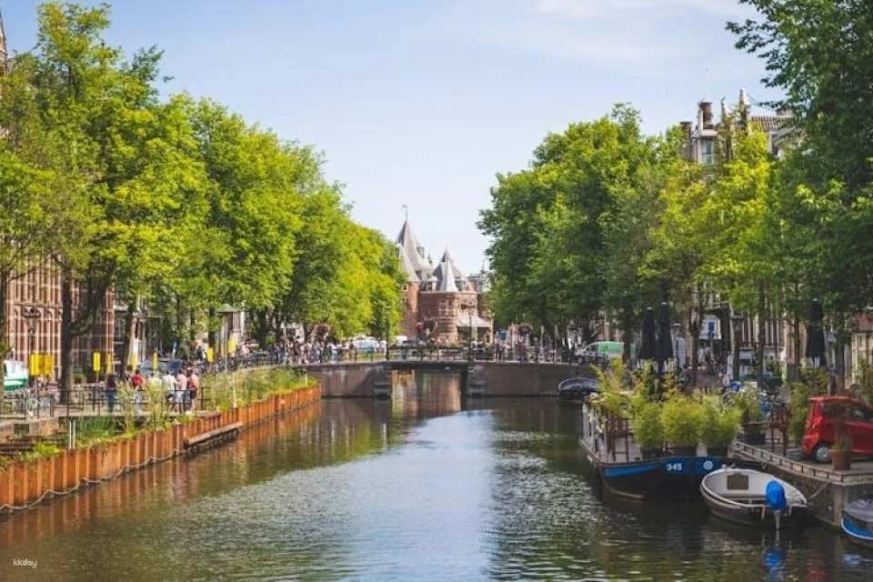 Amsterdam countryside bike tour with windmills