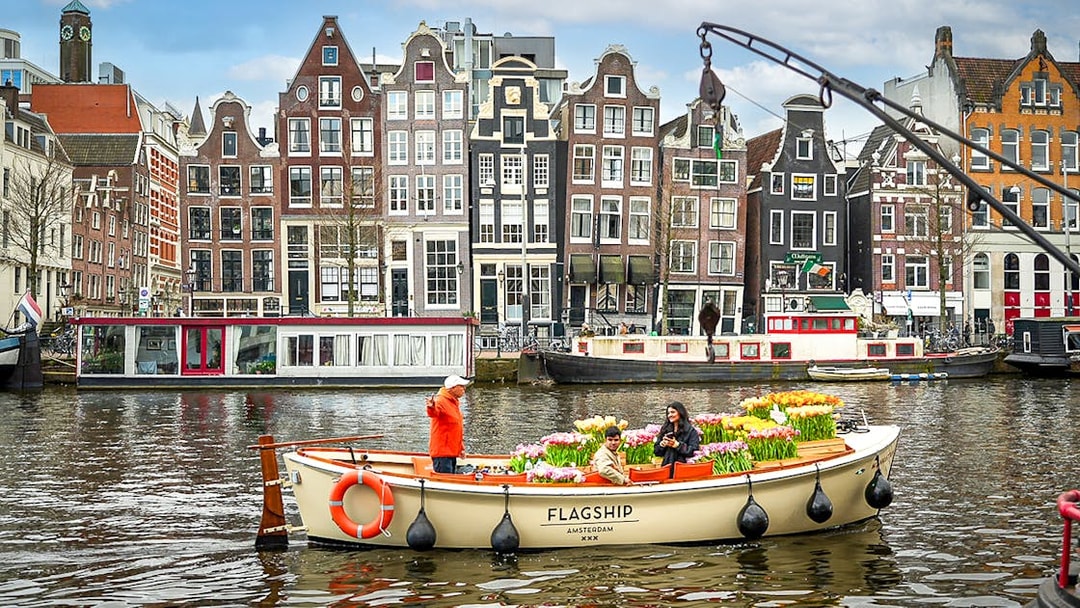 Boat with tulips sailing through Amsterdam canal with historic buildings in background.