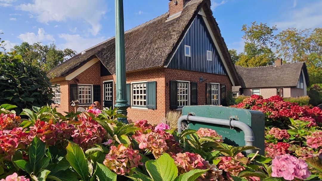 Thatched-roof house surrounded by hydrangeas in Giethoorn, Netherlands.