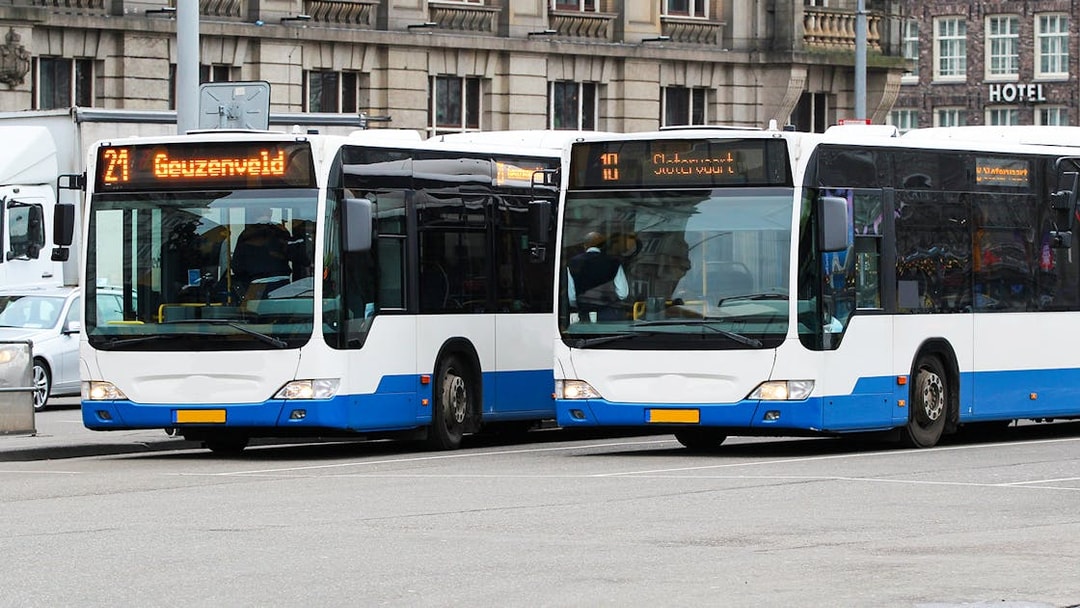Amsterdam city buses at a stop, showcasing GVB public transport options.