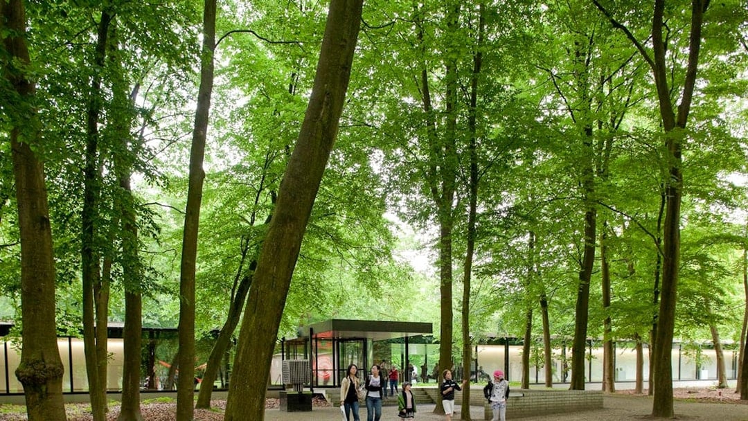 Guided Day Tour of Kröller Müller Museum & Hoge Veluwe National Park from Amsterdam